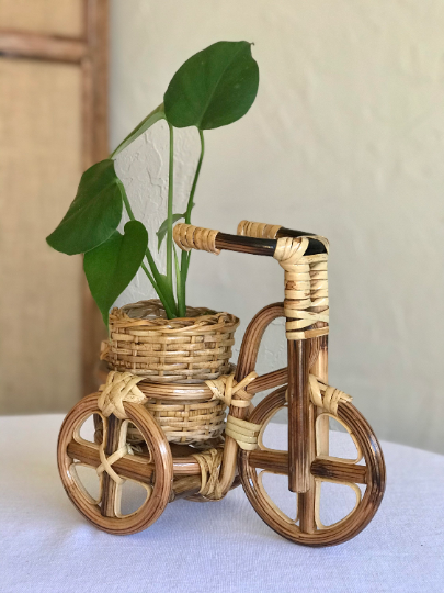 Rattan Bike Planter