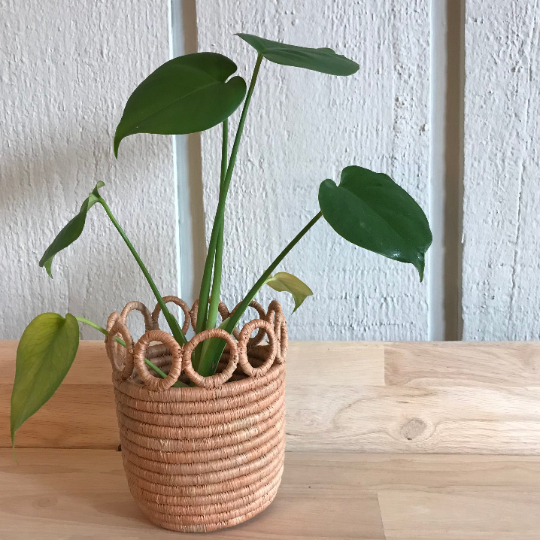 Kinsley Hooped Planter