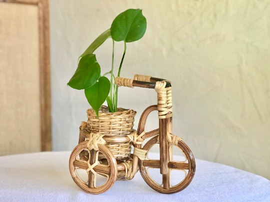 Rattan Bike Planter