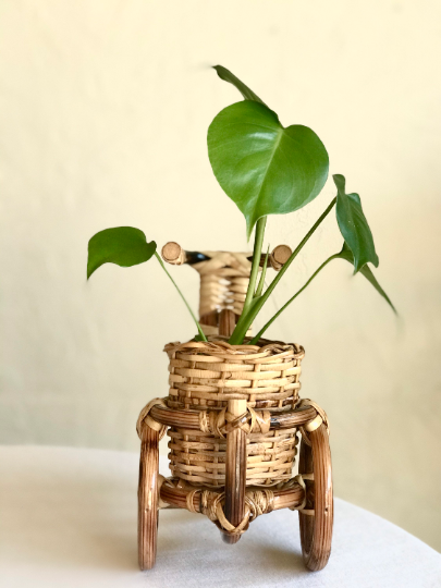 Rattan Bike Planter