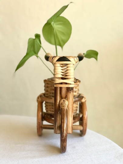 Rattan Bike Planter