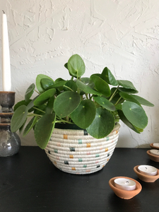 Everly Planter