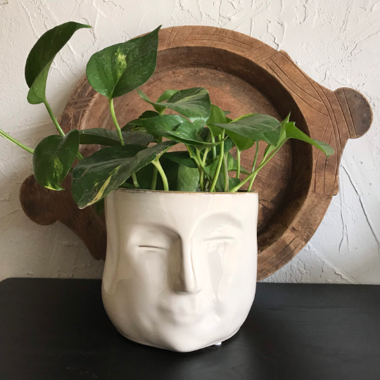 Sam Face Planter