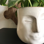 Load image into Gallery viewer, Sam Face Planter
